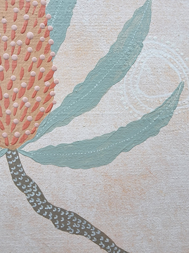 Banksia II Krubi creative