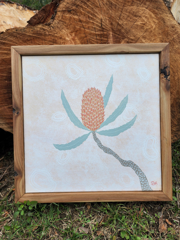 Banksia II Krubi creative